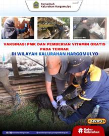 VAKSINASI PMK DAN PEMBERIAN VITAMIN GRATIS PADA HEWAN TERNAK DI WILAYAH KALURAHAN HARGOMULYO